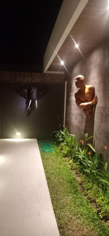 Villa Mon Reve อูบุด ภายนอก รูปภาพ