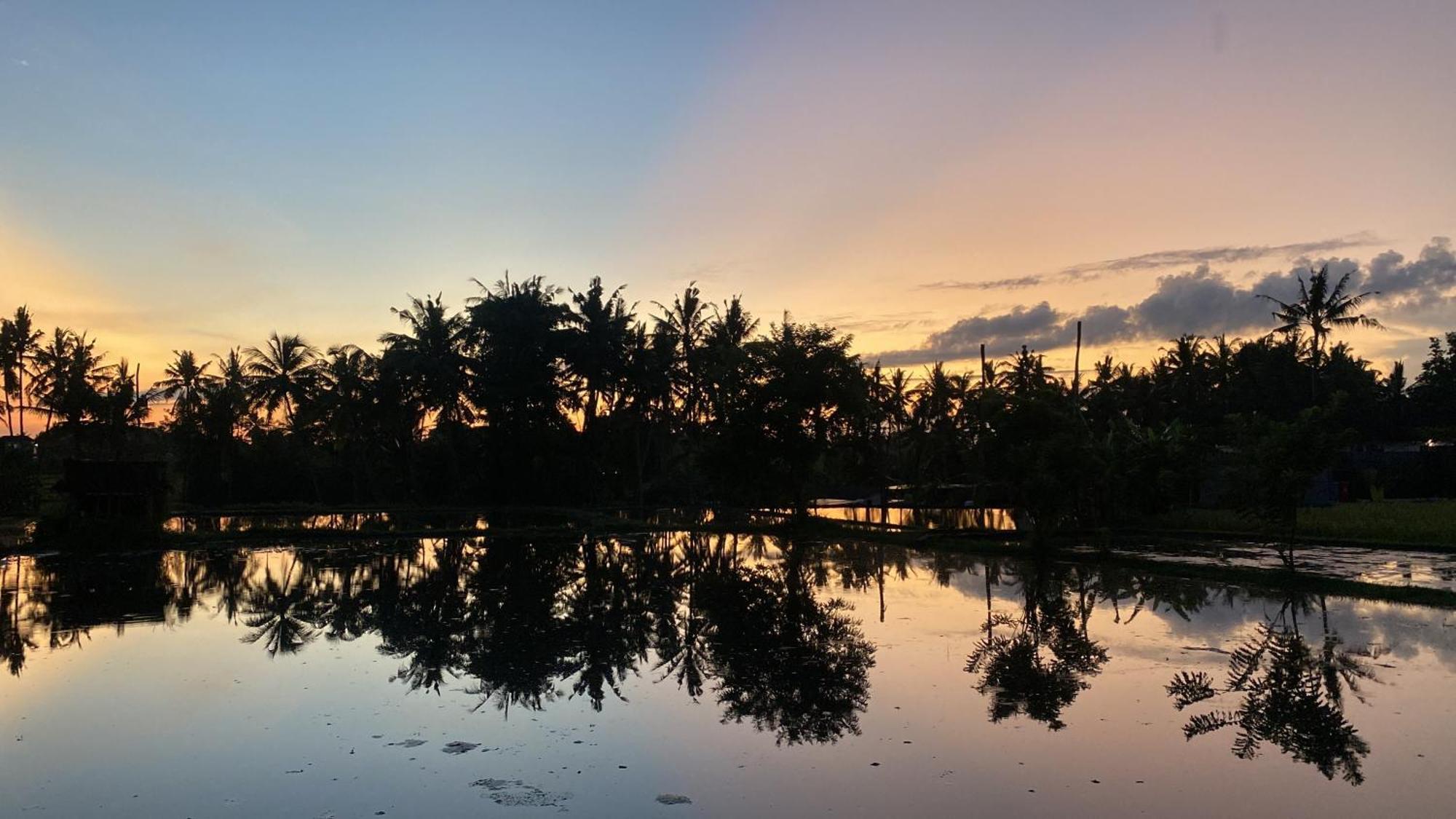 Villa Mon Reve อูบุด ภายนอก รูปภาพ